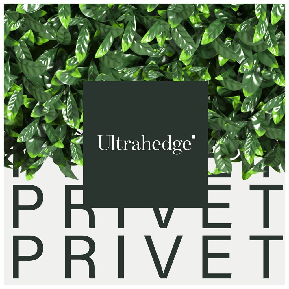 UltraHedge Privet Artificial Hedge 20" x 20" Panel, Medium Leaf 6 Pack