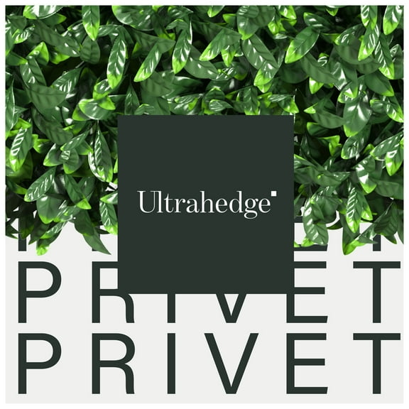 UltraHedge Privet Artificial Hedge 20" x 20" Panel, Medium Leaf 6 Pack