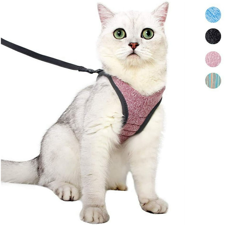 Comfortable cat collar discount