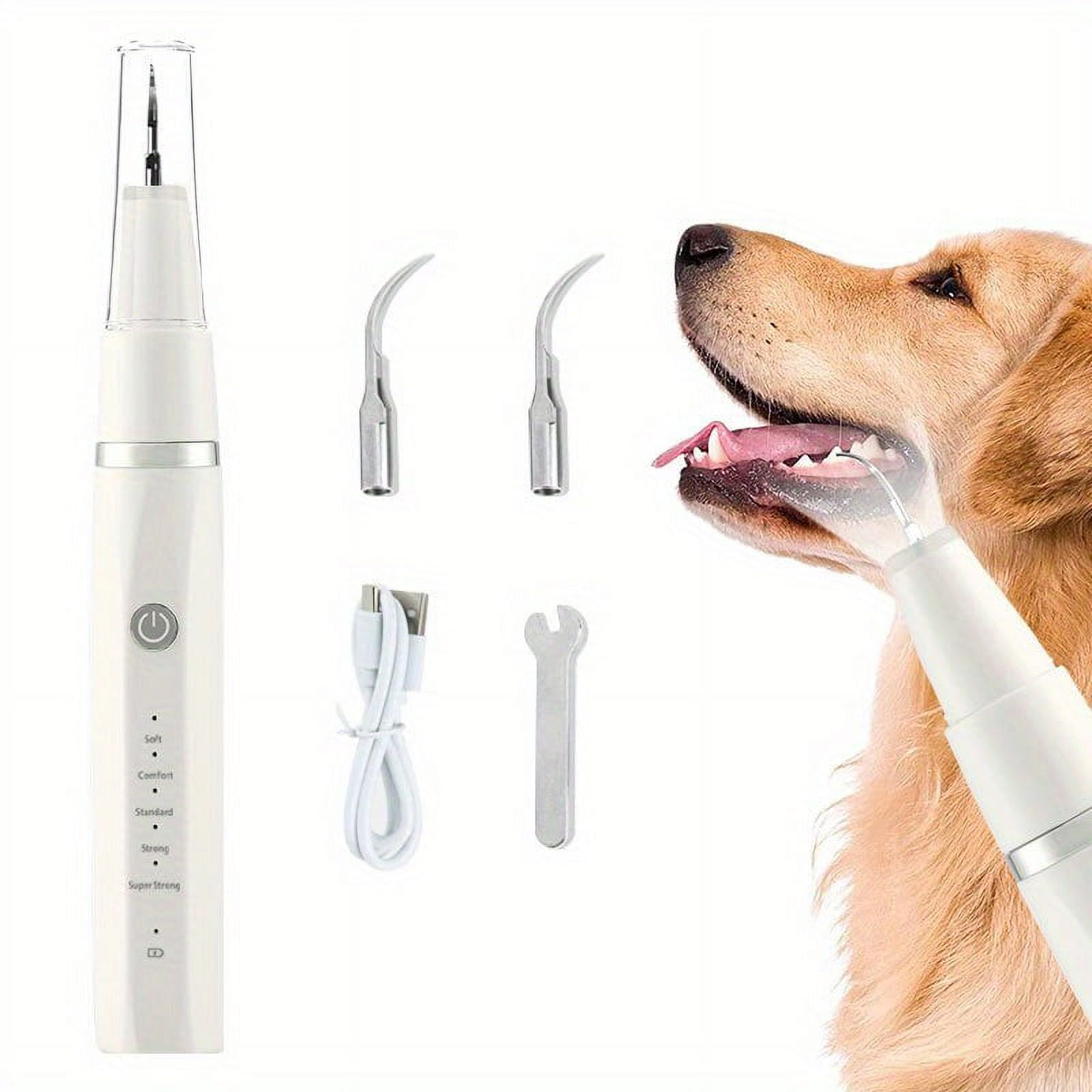 Ultrasonic Dog Teeth Cleaning Kit With LED Lamp For Pet, 5 Modes For