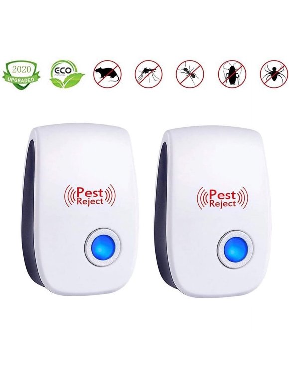 Mouse in Pest Control