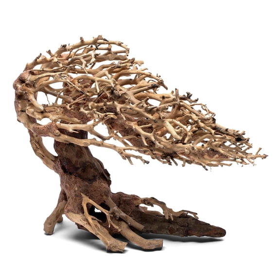 Ultum Nature Systems Bonsai Handcrafted Driftwood for Aquarium, Tree Shape Aquarium Decor, Fish Tank Decorations, Terrarium Decor, Aquascaping Hardscape for Freshwater & Nano Tank - 019, Medium