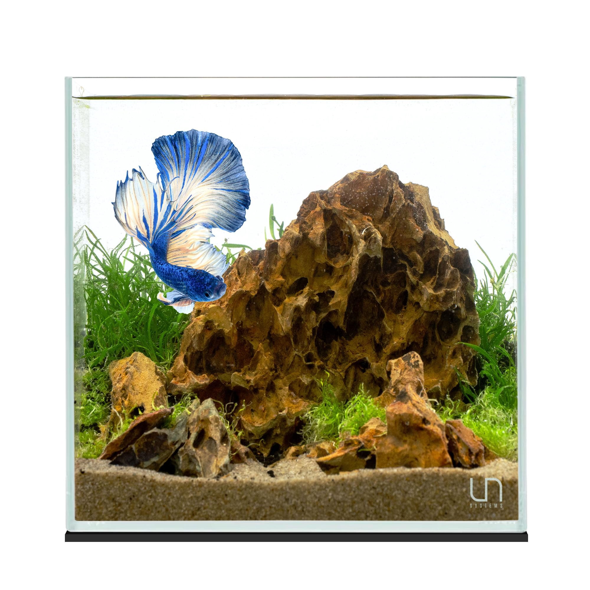 Ultum Nature Systems Ultra Clear Rimless Aquarium - Low Iron Glass Fish ...