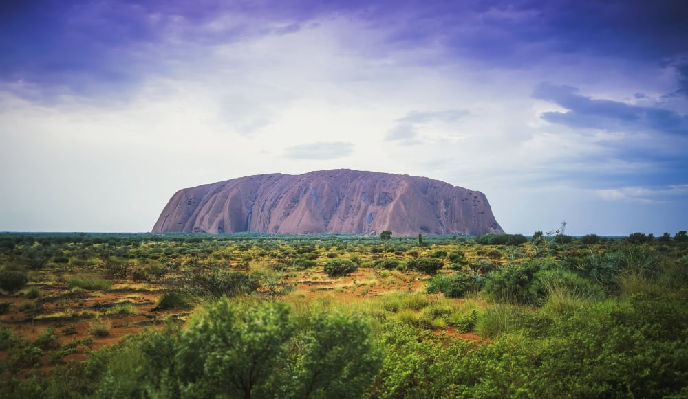 Uluru Central Australia Northern Territory Australia Canvas Art - David Kirkland Design Pics (40 x 22)