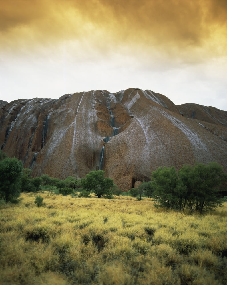 Uluru during the rain Central Australia Northern Territory Australia Canvas Art - David Kirkland Design Pics (13 x 17)