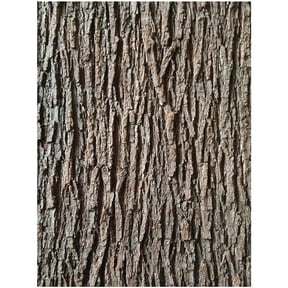 Ulxkmt Realistic Bark Stickers Silicone Artificial Bark Tree Trunk Decoration for Garden Column 1 Piece