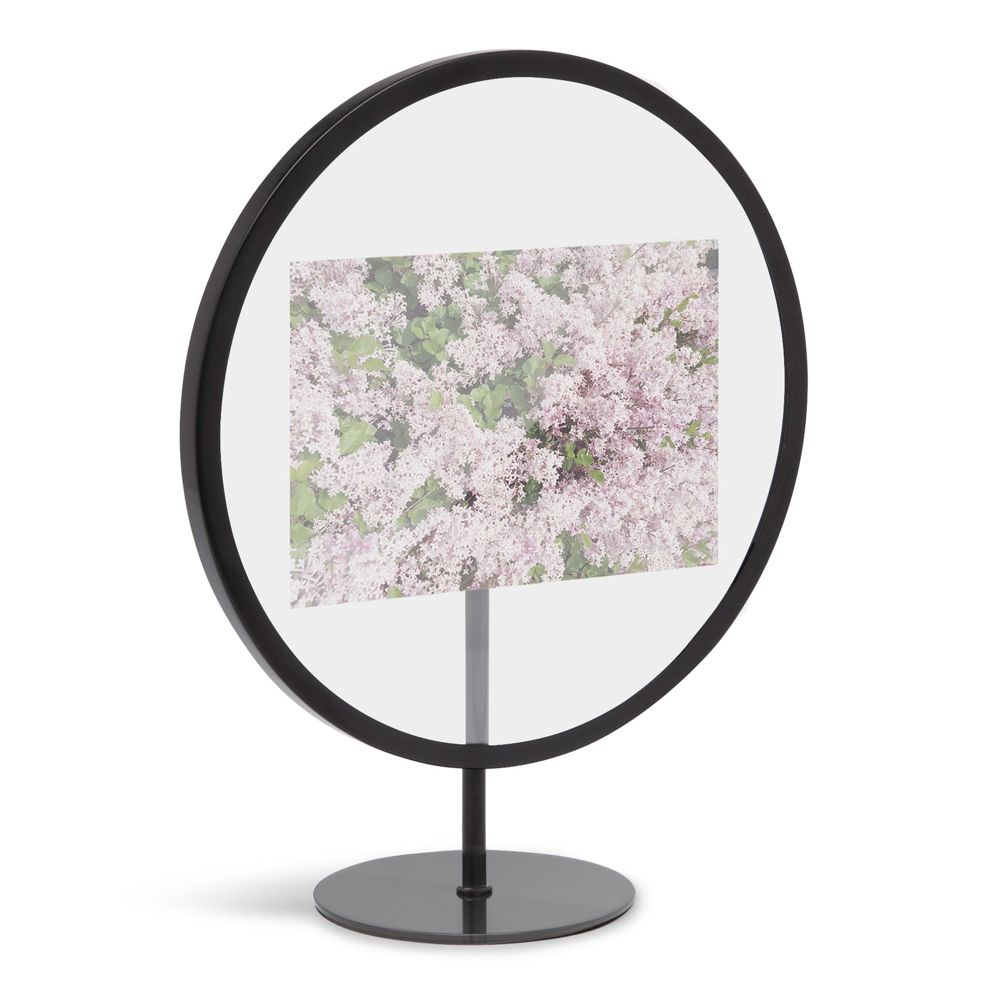 Black Iron 4x6 Floating Tabletop and Wall Picture Frame