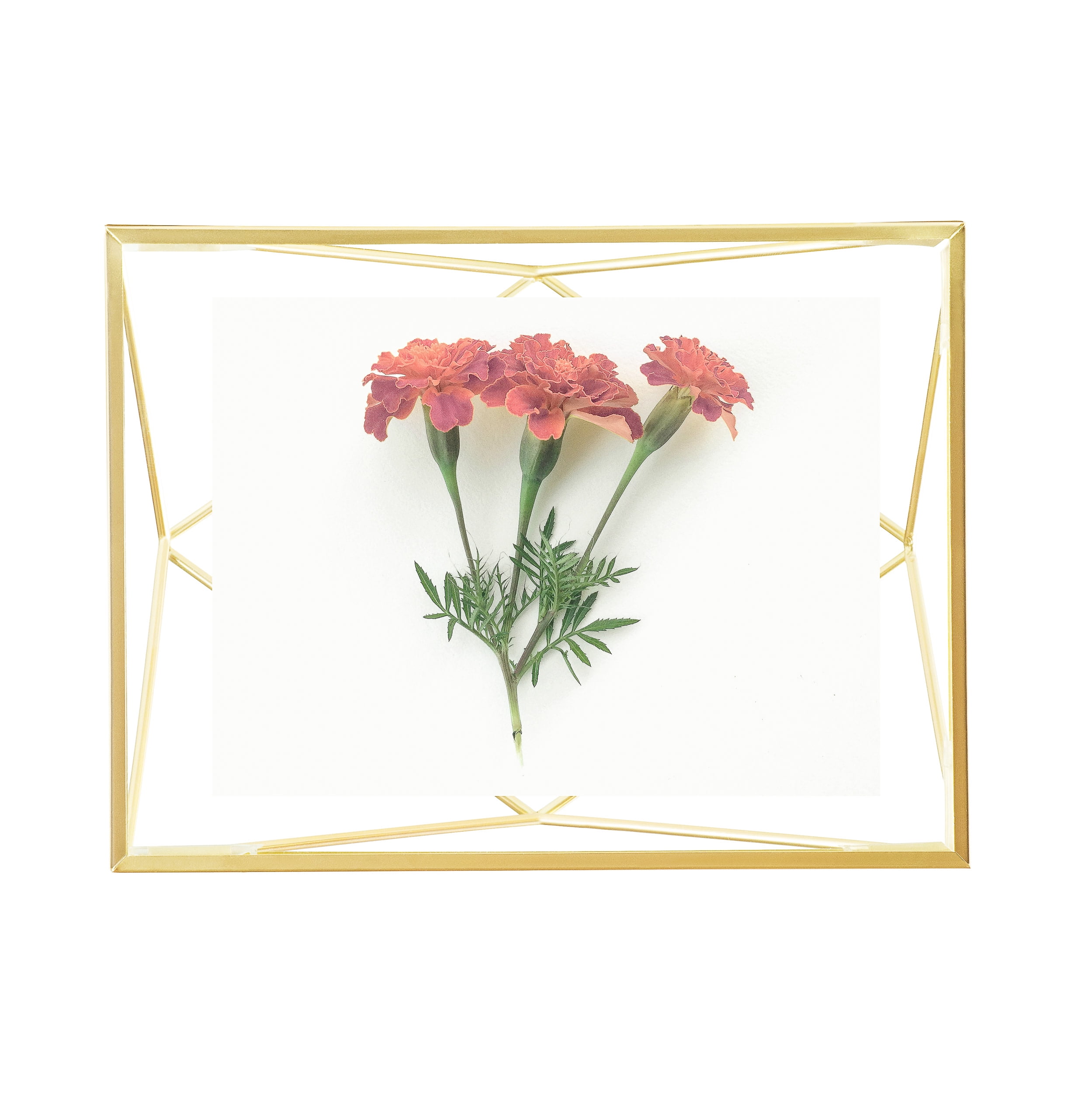 Matte Brass Geometric Floating Picture Frame, 8" x 6"