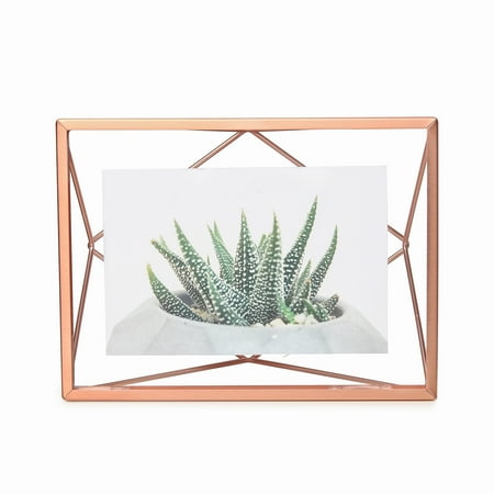 Umbra Prisma Picture Frame