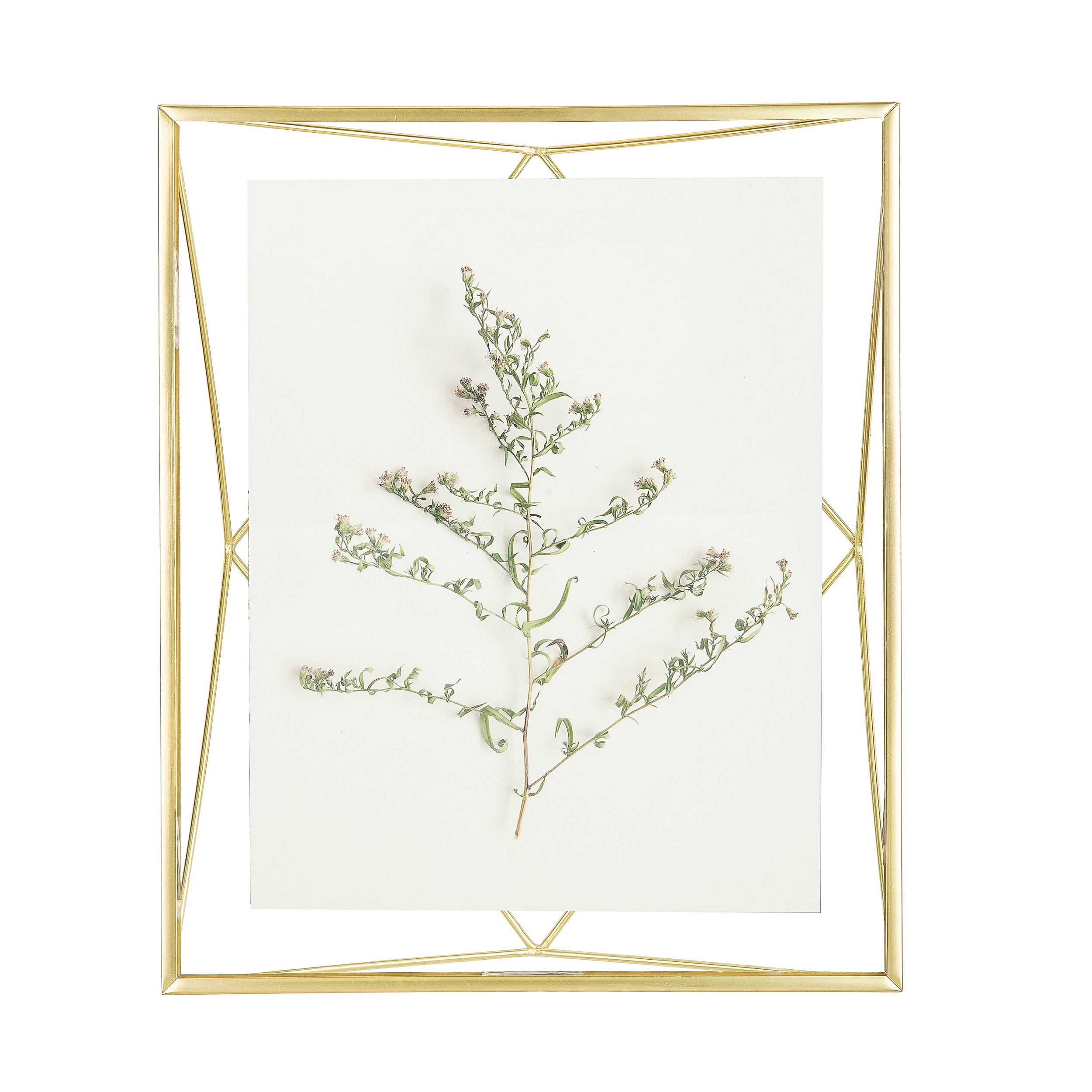 Matte Brass 12" x 10.1" Geometric Floating Glass Photo Frame