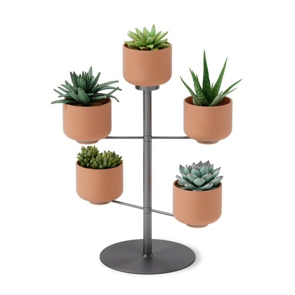Umbra Terrapotta Tabletop Planter