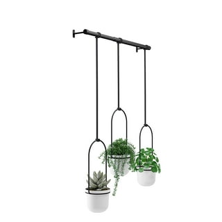 Terry 2 Pack of Cast Iron Wall Plant Hanger Outdoor, Bird Feeder, Planter -  Black - Capacity 37.5lbs 