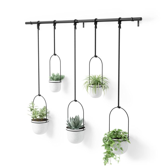 Umbra Triflora Hanging Planter for Window, Indoor Herb Garden, Set of 5