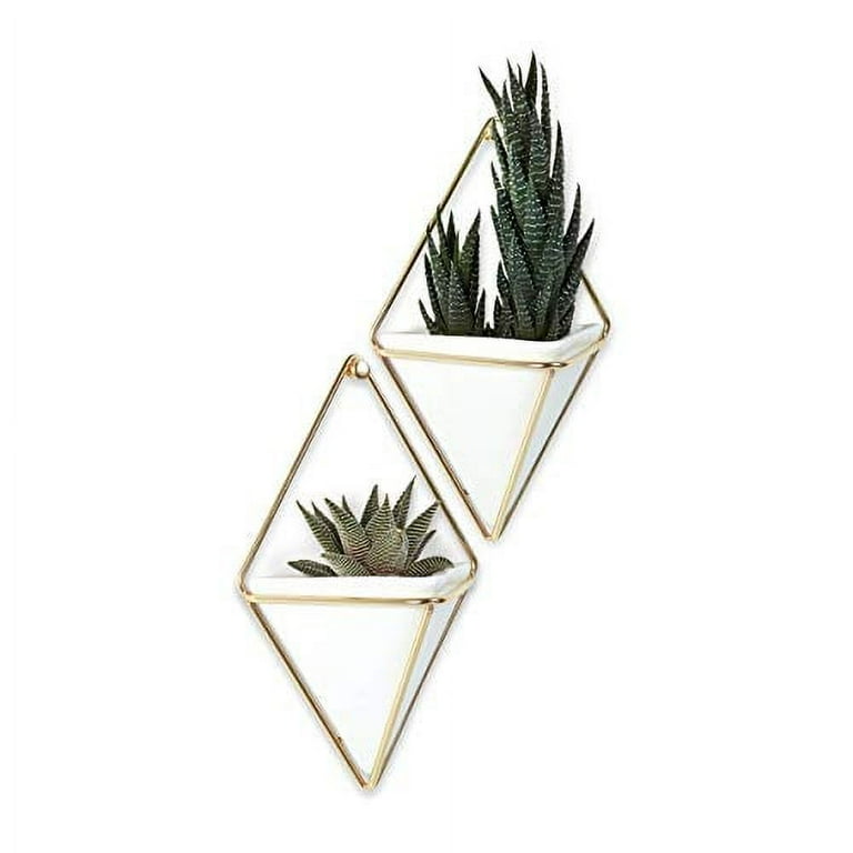 Umbra Trigg Geometric Hanging Planter Wall Decor (Large), White/Brass Umbra Trigg Geometric Hanging Planter Wall Decor (Large), White/Brass