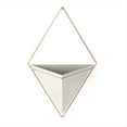 thumbnail image 1 of Umbra Trigg Wall Display, 1 of 19