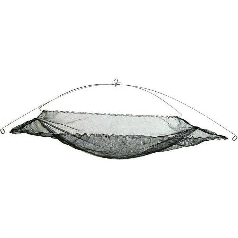 Umbrella Minnow Net With Netting (36Inch X 26Inch)