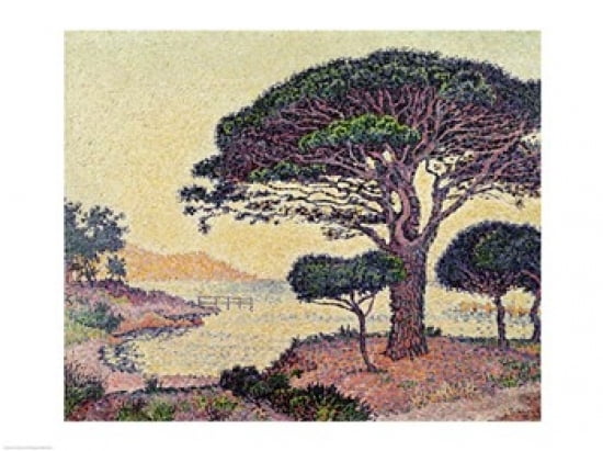 Umbrella Pines at Caroubiers 1898 Canvas Art - Paul Signac (36 x 24)