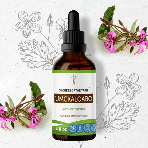 Secrets Of The Tribe Umckaloabo Tincture Dietary Supplement, Natural Herbal Extract for Respiratory Health Support, Umckaloabo (Pelargonium sidoides) Dried Root, Alcohol Extract, Drops 4 oz