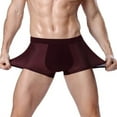 thumbnail image 1 of Umfun Men Stretch Mesh Boxer Briefs Ultra-Breathable Quick-Dry Underwear Waistband Ideal for Gym Outdoor and Daily Activities, 1 of 6
