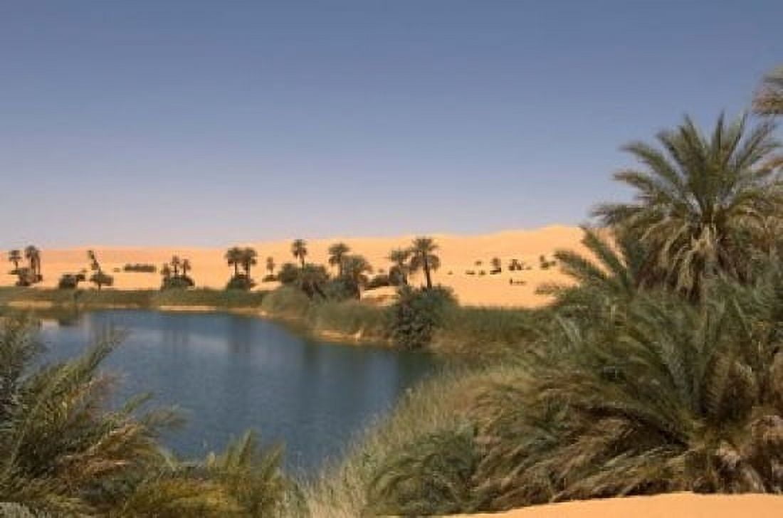 Umm El Ma Lake Erg Awbari Sahara Desert Fezzan Libya Canvas Art - Sergio Pitamitz DanitaDelimont (35 x 23)