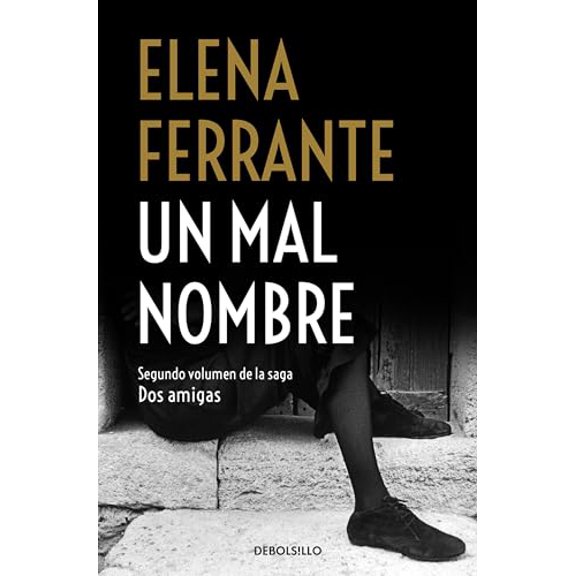 Pre-Owned Un Mal Nombre / The Story of a New Name: 2 (DOS Amigas / Neapolitan Novels) Paperback
