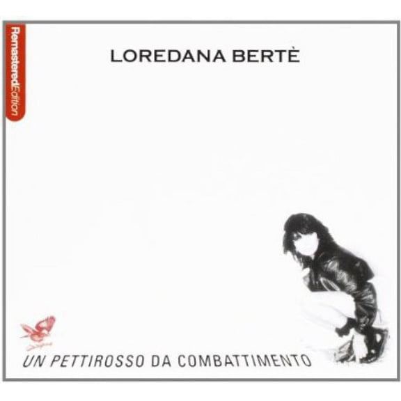 Un Pettirosso Da Combattimen