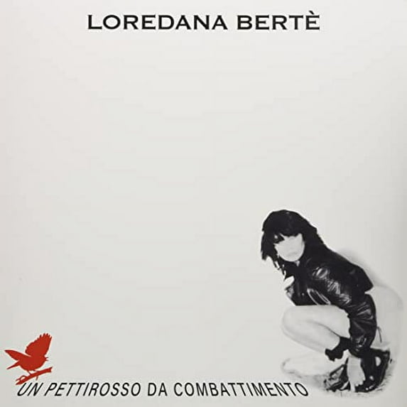 Un Pettirosso Da Combattimento