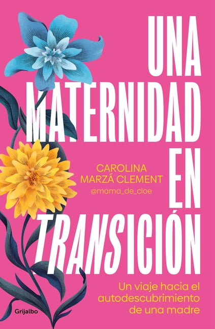 Una Maternidad En TransiciÃ³n / Maternity in Transition, (Paperback)