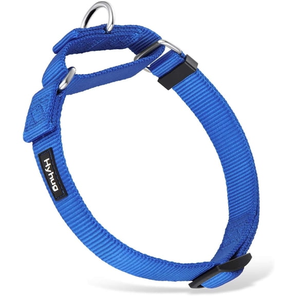 Unable to Slip Out of Martingale Collar for Medium Breeds Dogs - Professional Training and Daily Use Walking. Medium,Bright Blue Medium Bright Blue