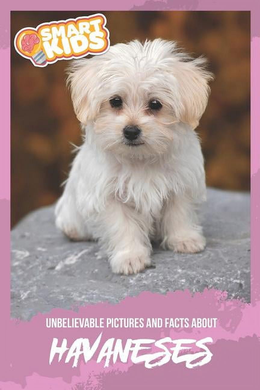 45 havanese rescue sales