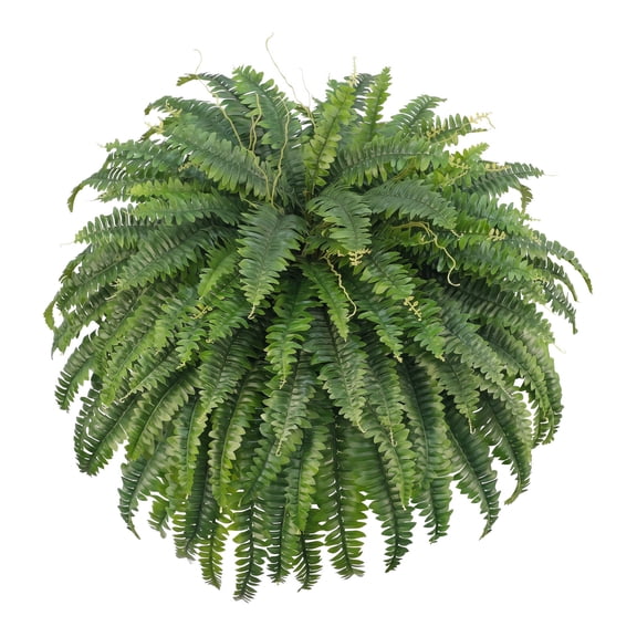 Unbranded 50" Artificial Boston Ferns, Fake Bush Plants for Outdoors | UV Resistant, Single Large Faux Ferns, Zero Maintenance, Pet Friendly, 96 Fronds Each, For Porch, Patio & Poolside Planters