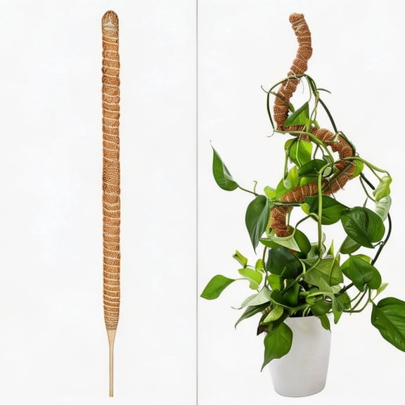 Unbranded Bendable Coconut Coir Moss Pole, 0.28" Aluminum Core, 15.7" Flexible Plant Support Stake for Indoor Climbing Plants