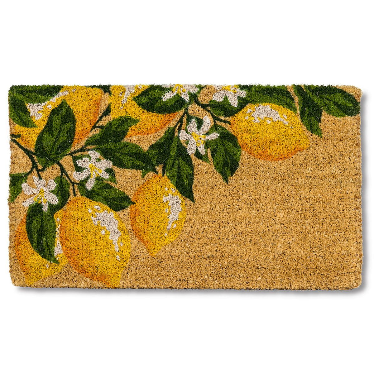 Abbott Doormat Durable Natural Coco Coir Doormat, Weather Resitant Mat Outdoor & Indoor Entrance, Home Decor Large Doormat, 18x30", Lemon Branch