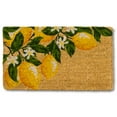 thumbnail image 1 of Abbott Doormat Durable Natural Coco Coir Doormat, Weather Resitant Mat Outdoor & Indoor Entrance, Home Decor Large Doormat, 18x30", Lemon Branch, 1 of 6