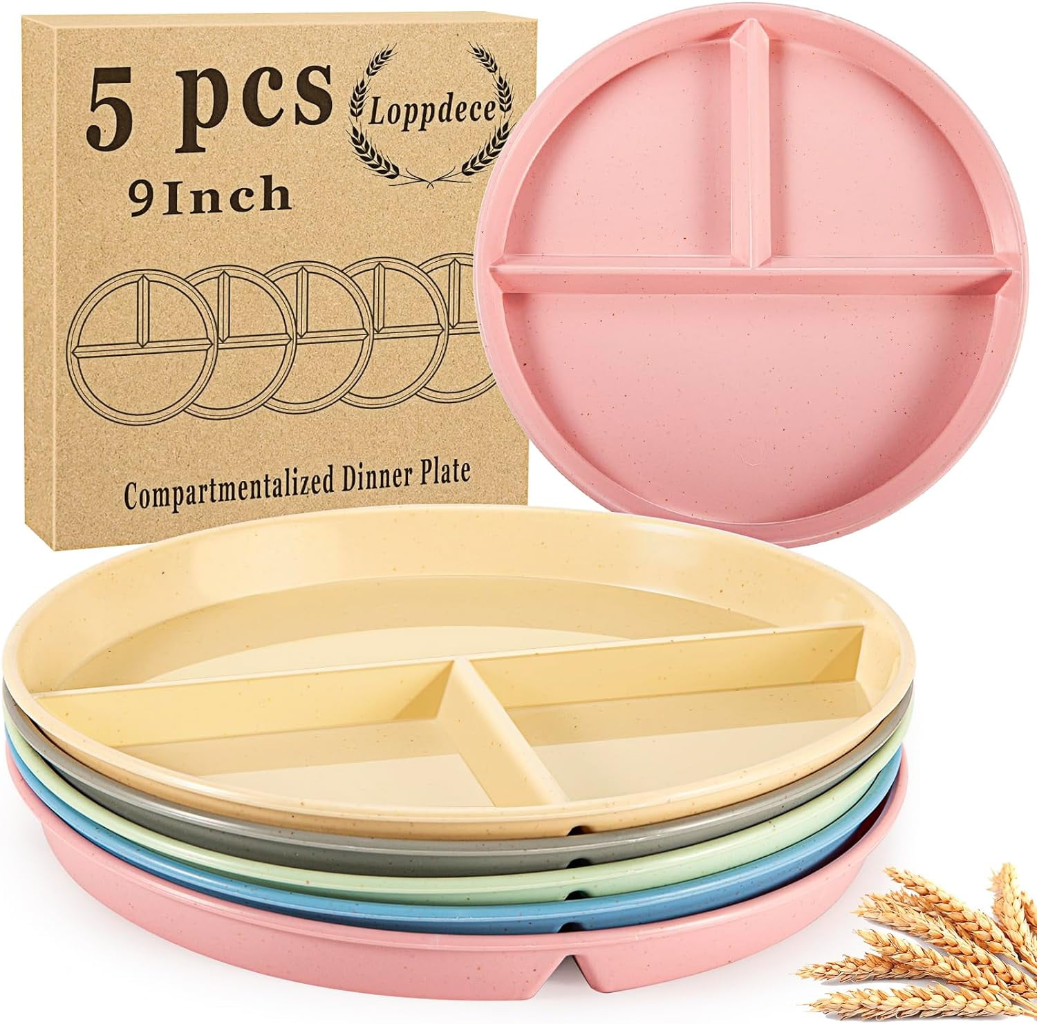 Unbreakable Divided Plates,5 Pcs 9 Inch Portion Control Plate,3 ...