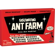 Vintage Ant Farm