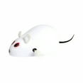 thumbnail image 1 of Under $1! GFHFHITJ Cat Mouse Toy Down Simulation Mouse Toy for Cats Flocking Wind Up Clockwork Mouse Suitable for Cats To Relieve Boredom, 1 of 6
