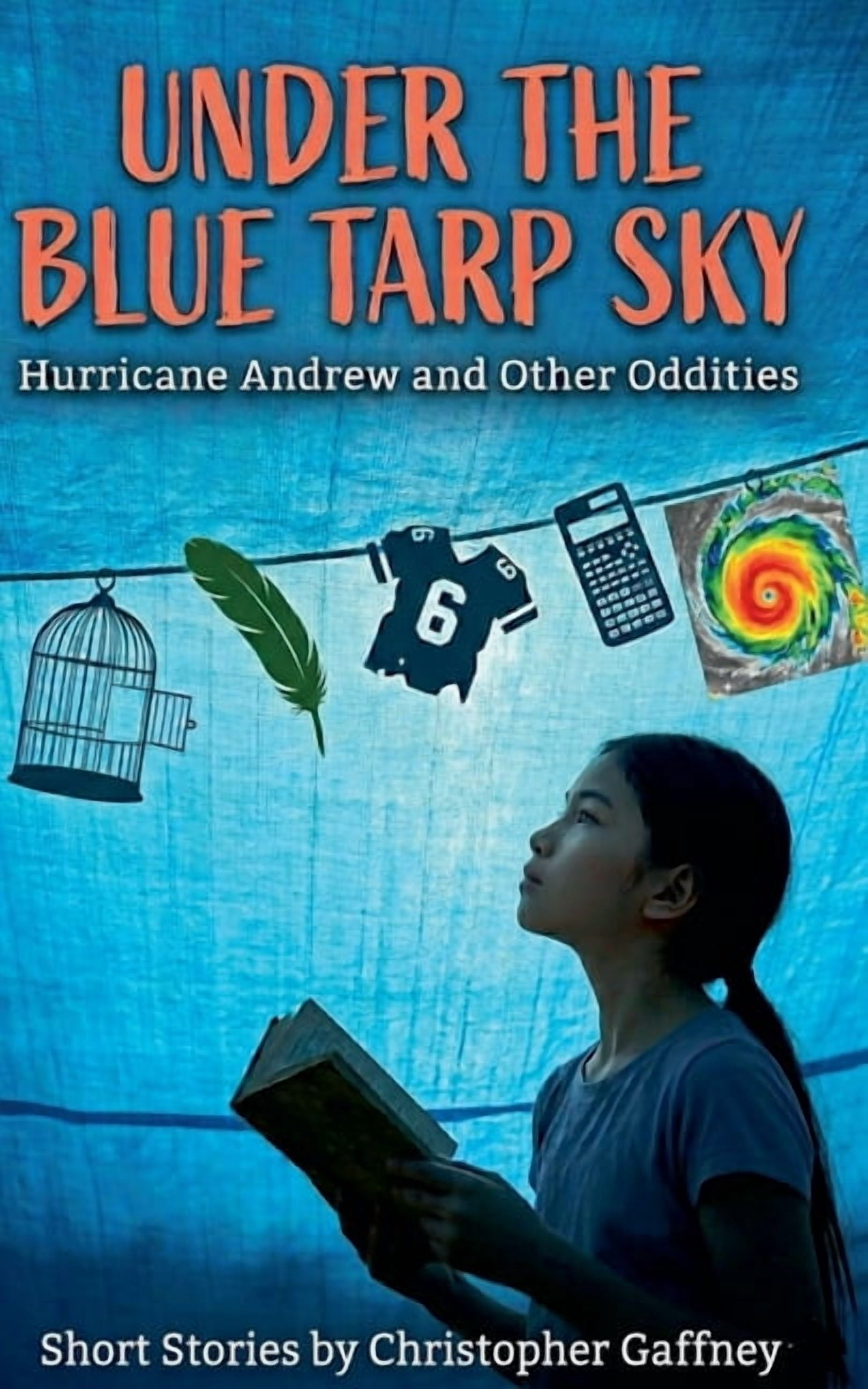 Under A Blue Tarp Sky, (Paperback)