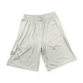 thumbnail image 1 of Under Armour Men's Lightweight Tech Graphic Shorts (Light Grey/Black, XL), 1 of 1