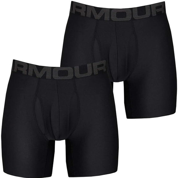 Under Armour Men's Tech 6 Inch Boxerjock - 2 Pack