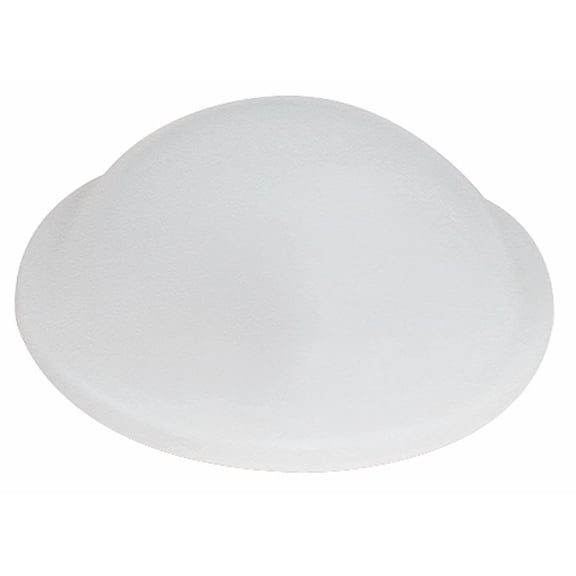 Under Dash Courtesy Light Lens 1964-1967 GTO Lemans Grand Prix Cutlass 442