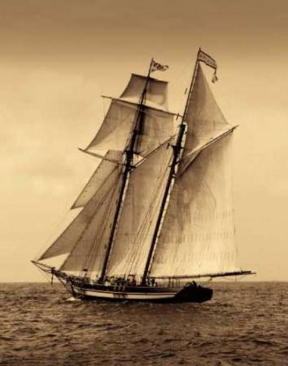 Under Sail II Canvas Art - Frederick J LeBlanc (22 x 28)