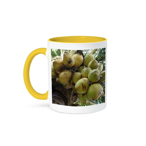 Coconut Paradise Mug 11oz