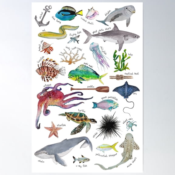 Under The Sea Alphabet Poster Wall Art, Modern Wall Decor For Living Room Bedroom, 12x18 UNFRAMED