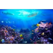 Under The Sea Photography Backdrop Ocean Underwater World Tropical Fish Coral Reef Background Seabed Party Backdrop Wall Banner
