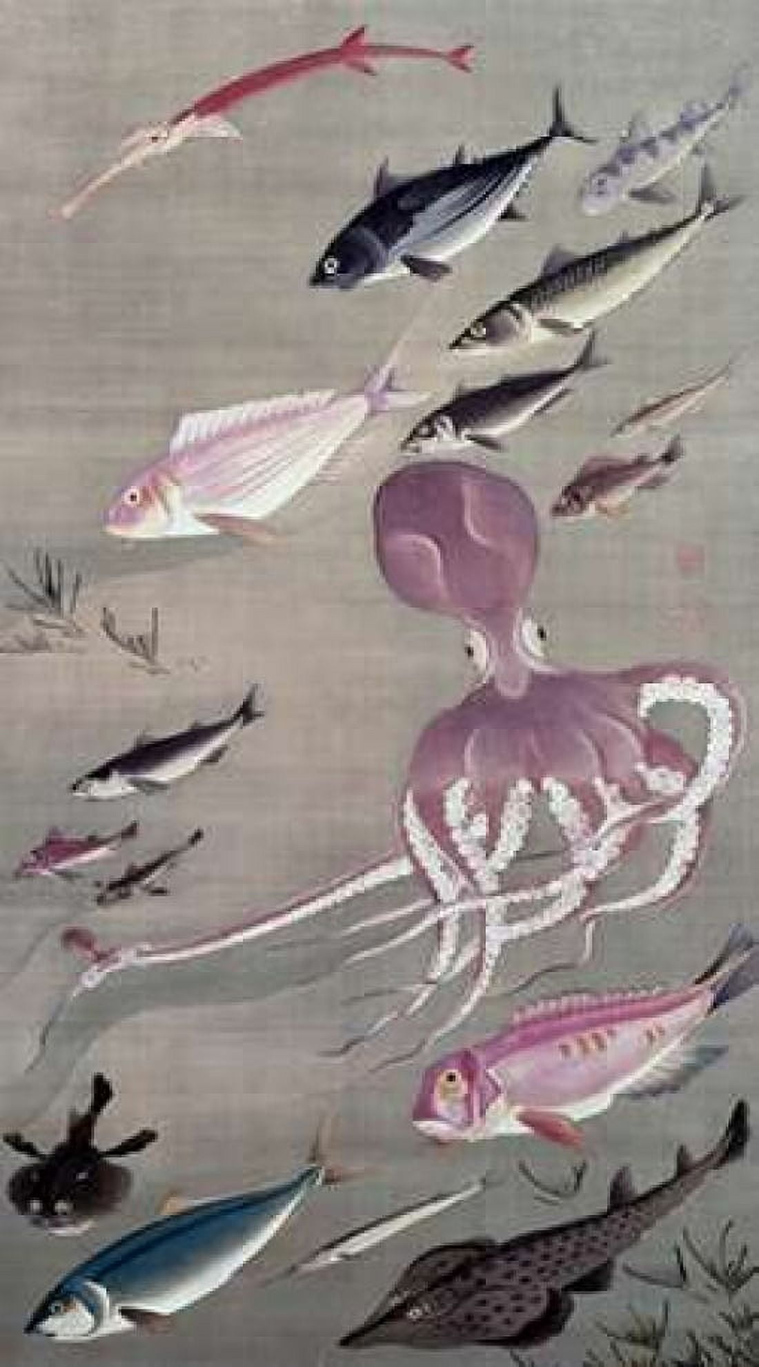 Under Water Life Canvas Art - Unknown (12 x 18)