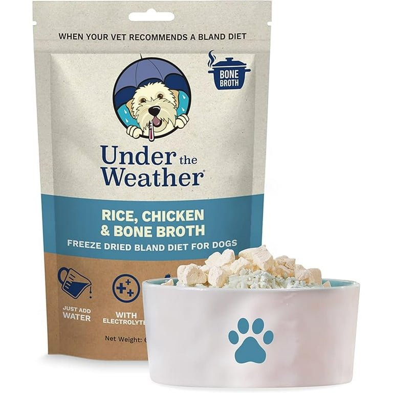 Grain free bland diet for dogs best sale