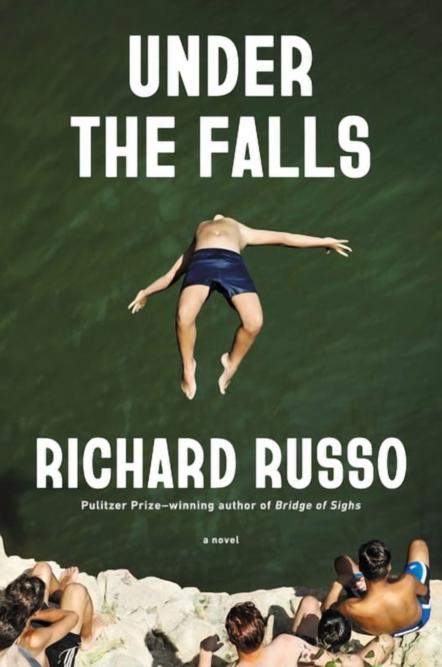 Under the Falls, (Hardcover)