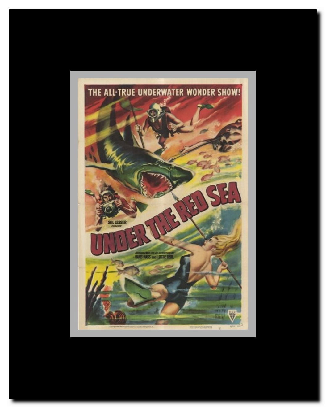 Under the Red Sea Framed Movie Poster