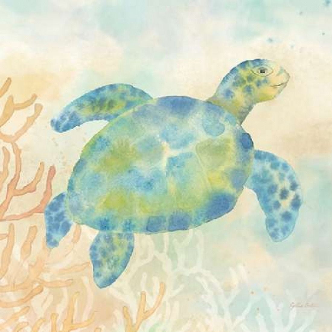 Under the Sea I Canvas Art - Cynthia Coulter (24 x 24)